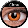 Lentille crazy lens Citrus