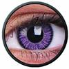 Lentille Vivid Violet